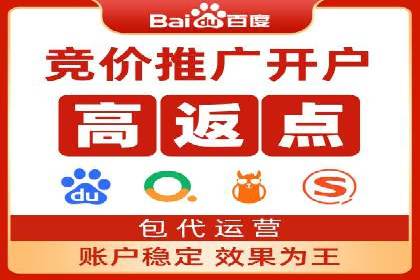 竞价排名案例：跨平台推广效果分析